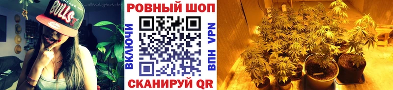 Что такое Хилок ГАШ  Галлюциногенные грибы  КОКАИН  Меф мяу мяу  Бошки Шишки 